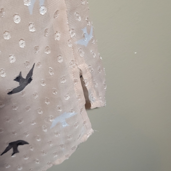 Daniel Rainn medium sheer dusty pink textured polka-dot bird boxy blouse - Picture 4 of 7